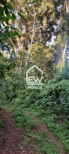 Área com Vegetação Nativa para Averbação de Compensação Ambiental