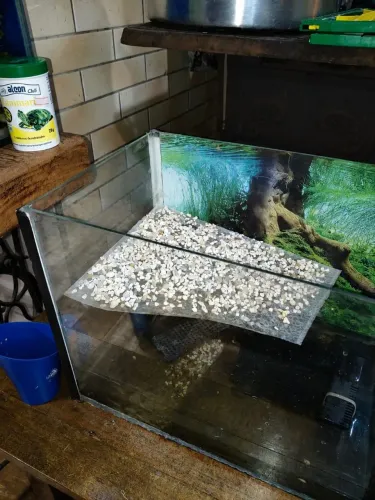 Aquário para peixes e tartarugas
