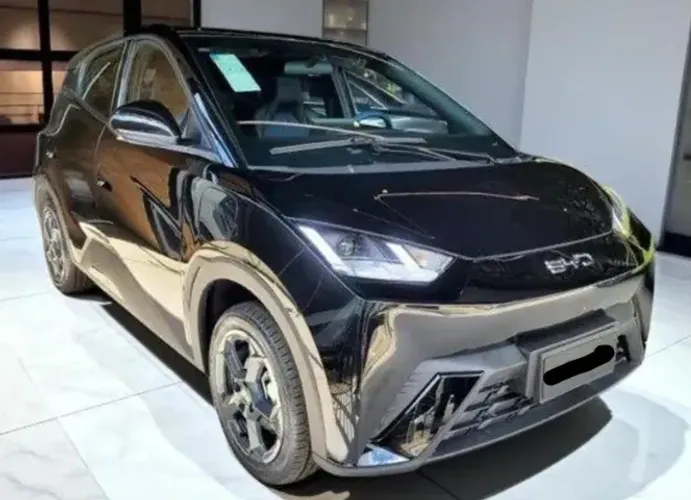 BYD Dolphin Mini (Elétrico) 2024