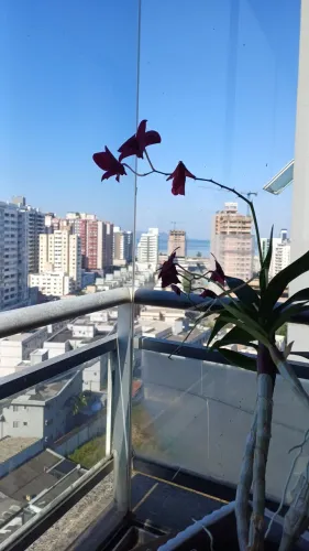 ALUGO ÓTIMO QUARTO MOBILIADO EM APTO PARA MULHER NO KOBRASOL