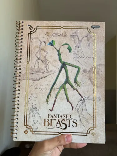 Caderno Animais Fantásticos Jandaia 80 Folhas - Novo