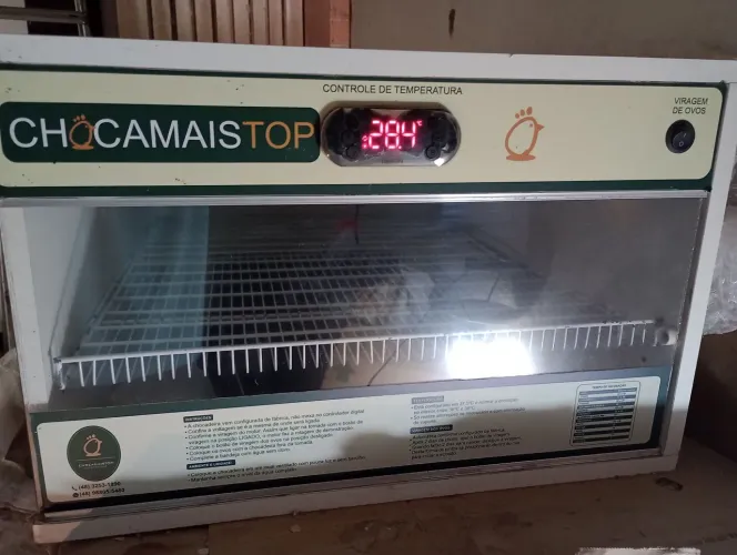 Chocadeira automática 120 ovos