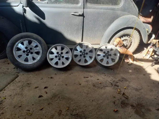 Roda de opala diplomata
