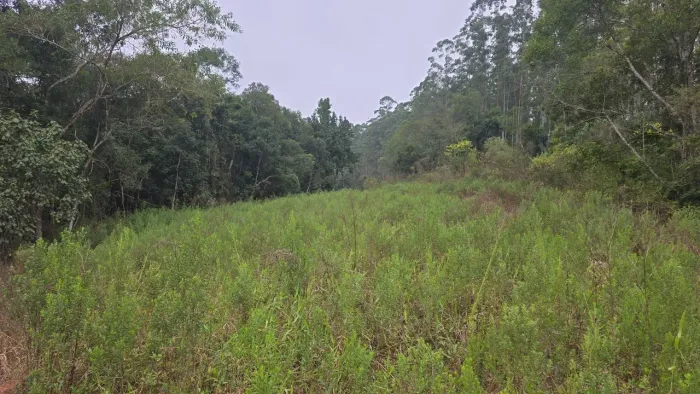 Sítio de 15.000 m² em Orleans - Vista Incrível na Ponte Preta<br>