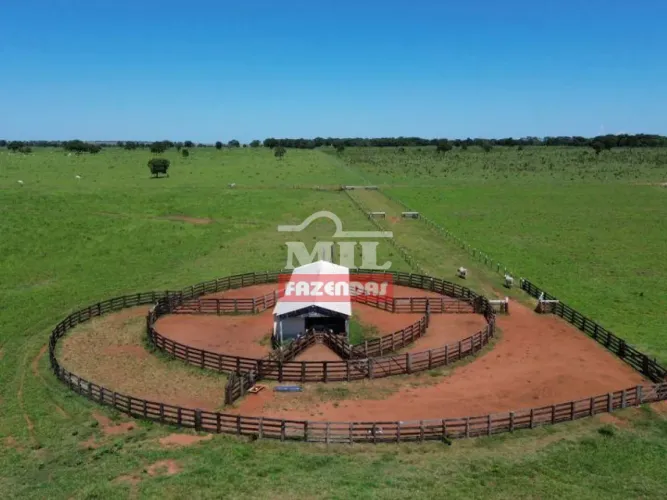 Fazenda 2.000 Hectares Nova Alvorada - MS
