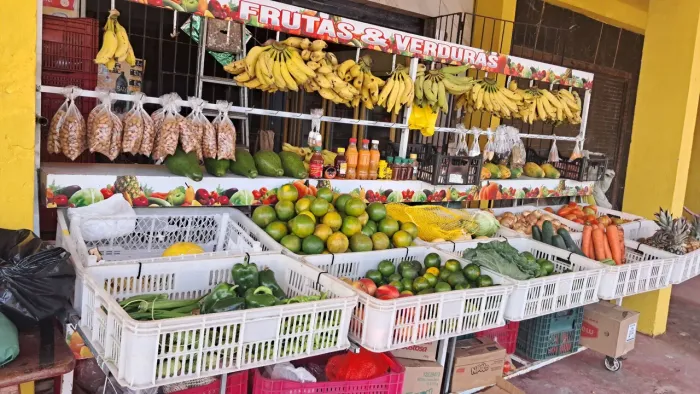 Fruteira 10 cubas