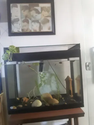 Aquario