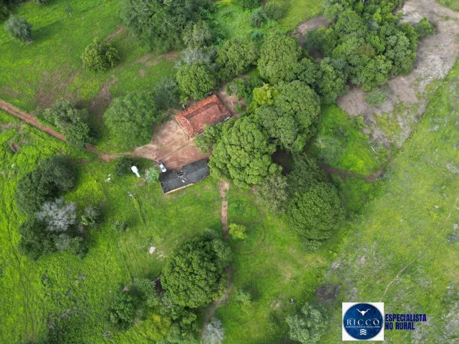 Fazenda à Venda 254 Alqueires na região de Alvorada do Tocantins