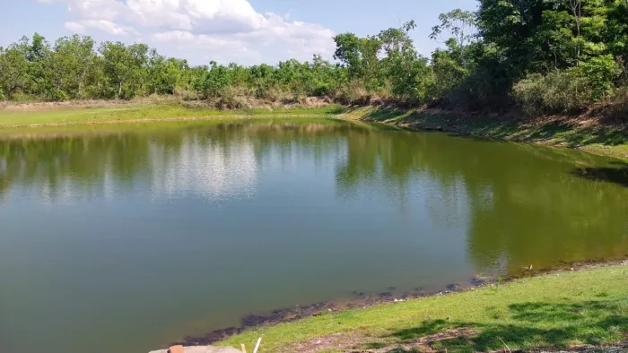 CHÁCARA 6 HECTARES EM FRENTE À LAGOA - COXIPÓ DO OURO