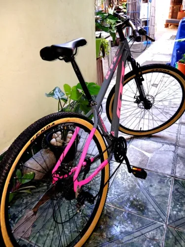 bike (bicicleta)