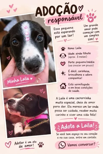 Cachorrinha para doação responsável