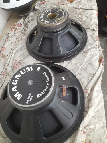 PAR DE ALTO FALANTE MAGNUM 15POLG 1NOVO OUTRO RECO DICIONADO