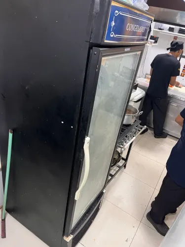 Freezer Expositor Fricon Dupla Ação 568L 220V - Excelente Estado