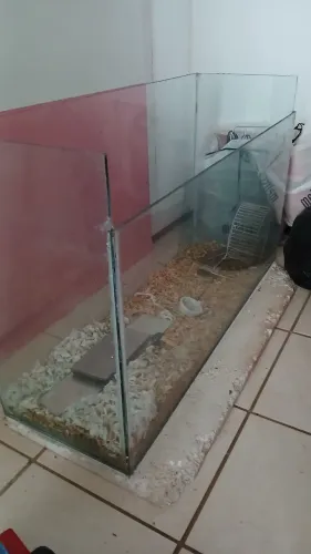 Aquário ou terrario