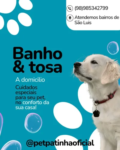Banho e Tosa a domicílio 