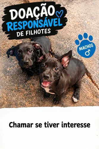 Doação