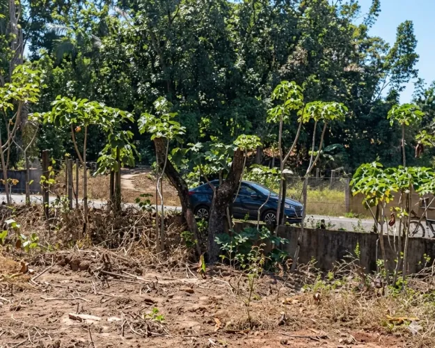 Lote 420mt no mocambo, abaixo do valor!