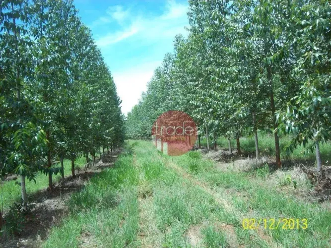 Fazenda com 1 dormitório à venda, 8820000 m² por R$ 22.000.000,00 - Centro - Buritizeiro/M