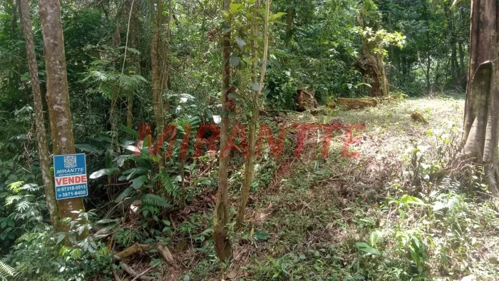 Terreno em Boa Vista