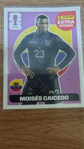Legend 2026 - Moisés Caicedo - Lilás (Bordo) 