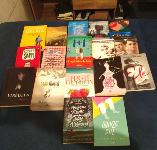 Coleção Livros - Literatura LGBT