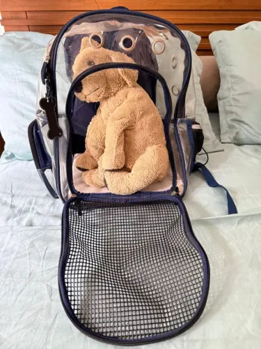 Mochila transporte cães e gatos importada.