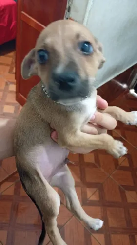 Doação 