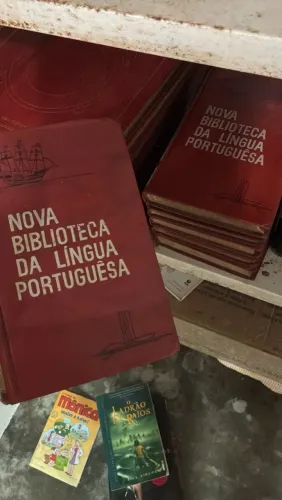 Livros da língua portuguesa para colecionadores