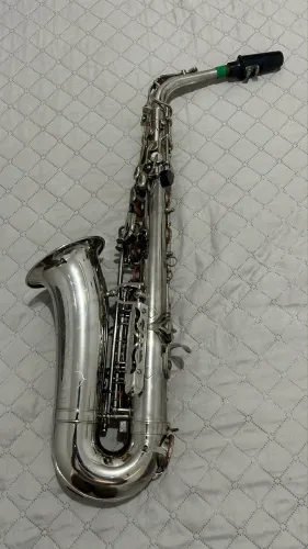Saxofone Alto Shelter