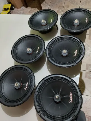 Snake 8 polegadas 280 RMS cada um 270$ o par