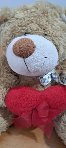 Urso de pelucia