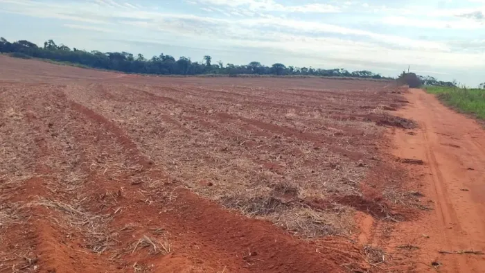 Fazenda 497alqueiro