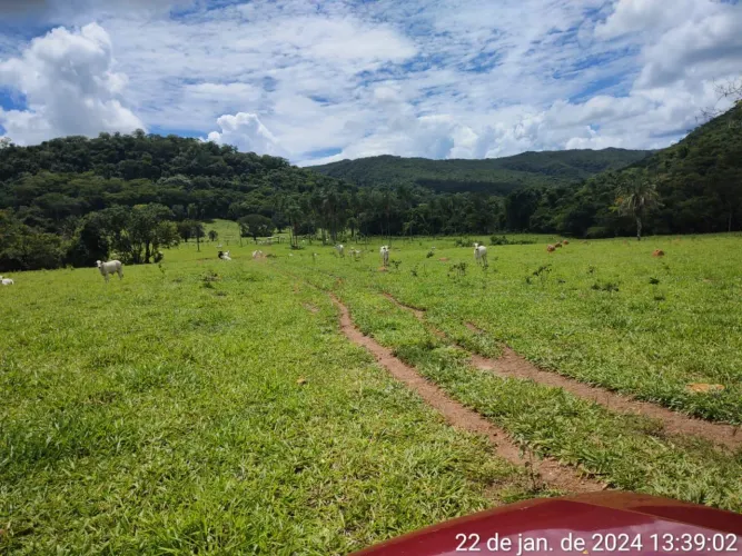 Fazenda 80 alq. Em trindade 300 mil.p/ alq. Pega 40% aptos Goiânia 24 milhoes