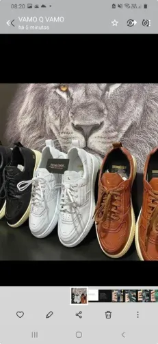 Sapatenis Masculino Reserva veja o catálogo 