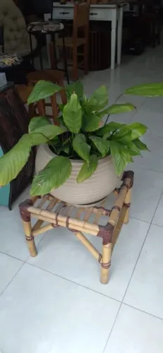 Suporte para planta em Bambu