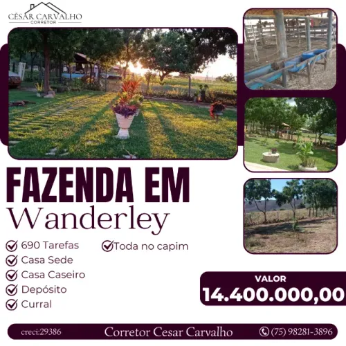 FAZENDA EM WANDERLEY - 690 TAREFAS