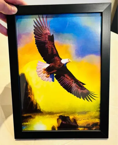 Quadro Decorativo Águia