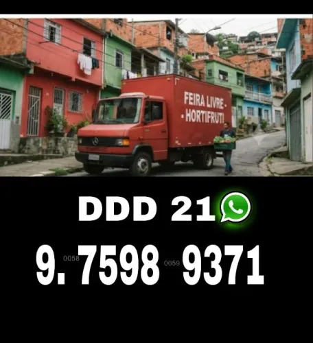 Frete Pavuna preço justo