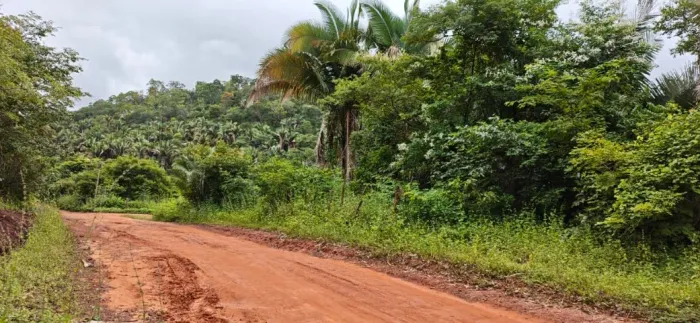 Área 1200m² lotes 04 e 05 Quadra diferente Loteamento DOM HENRIQUE Município de Nazária PI