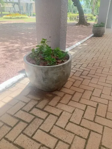 Vaso xícara Cuia P cimento queimado 