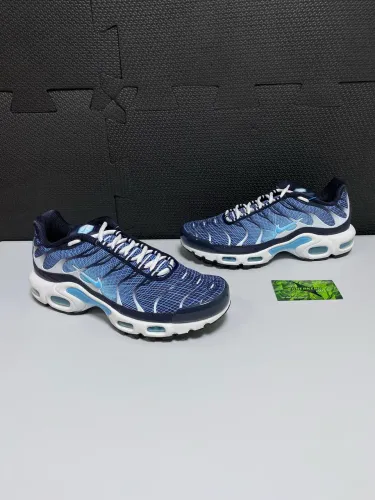 Nike Air Max Plus 'Dark Obsidian White Black'