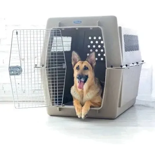 Caixa de transporte Cães Grande Porte Petmate Vari kennel Gigante/700