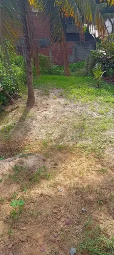 Terreno no timbi ceu azul