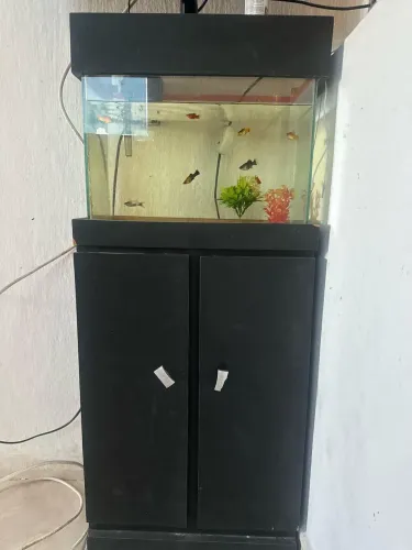 Aquário