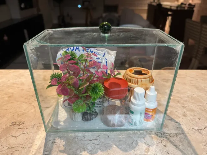 Mini aquário completo