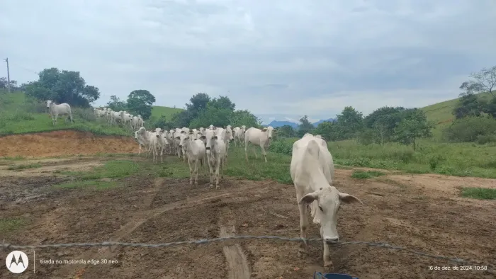 PROCURO FAZENDA PARA INVESTIDOR, INTERESSE EM PERMUTA POR APTOS EM RIO DAS OSTRAS