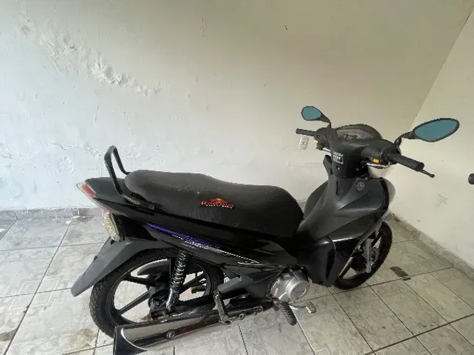 Vendo aveloz 
