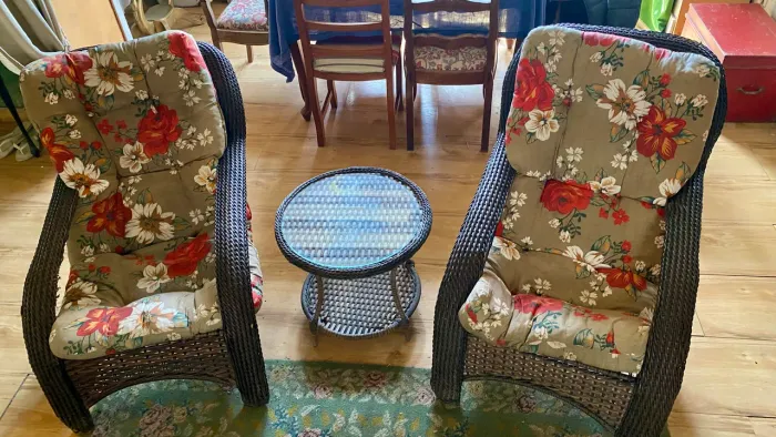 Conjunto de ratan