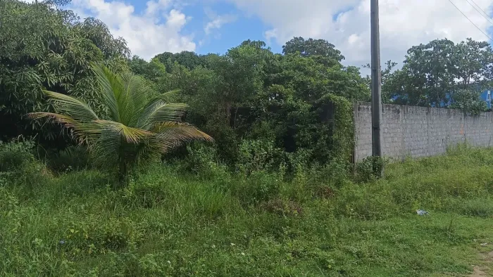 Terreno na Ilha de Itaparica
