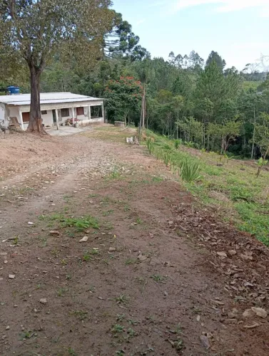 Área de 6.000m2 quadrados